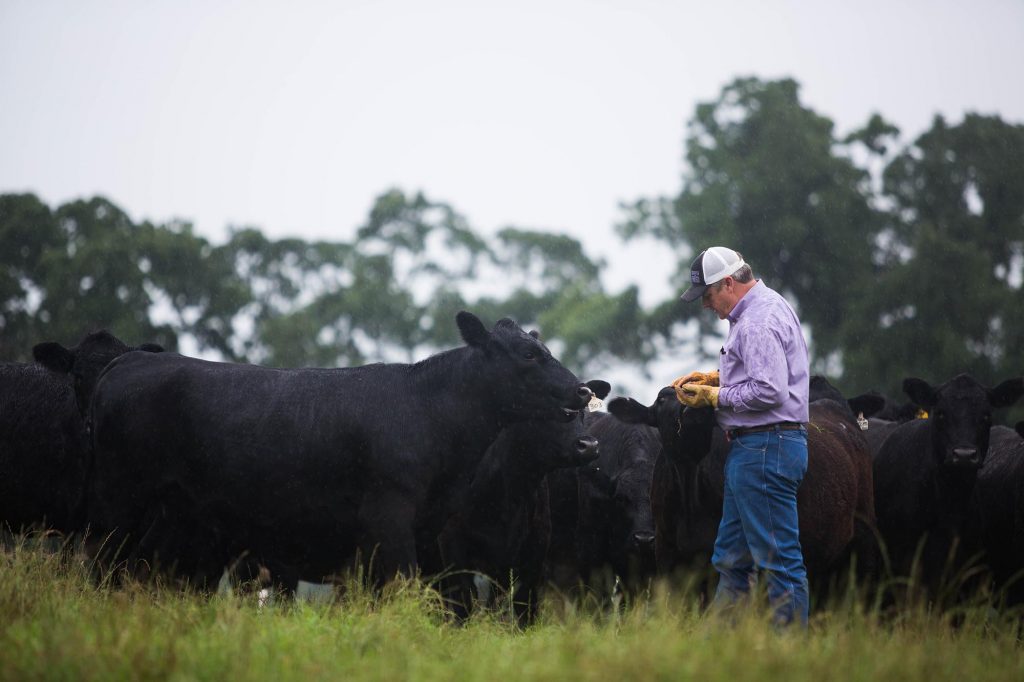 Bill Buckner Prepares for Next Season of Serving Agriculture