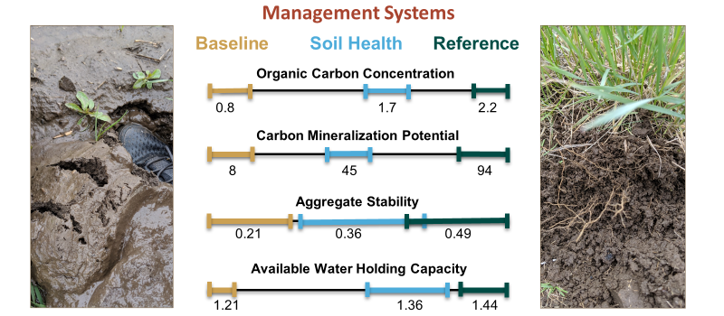 Scales for different Management Systems
