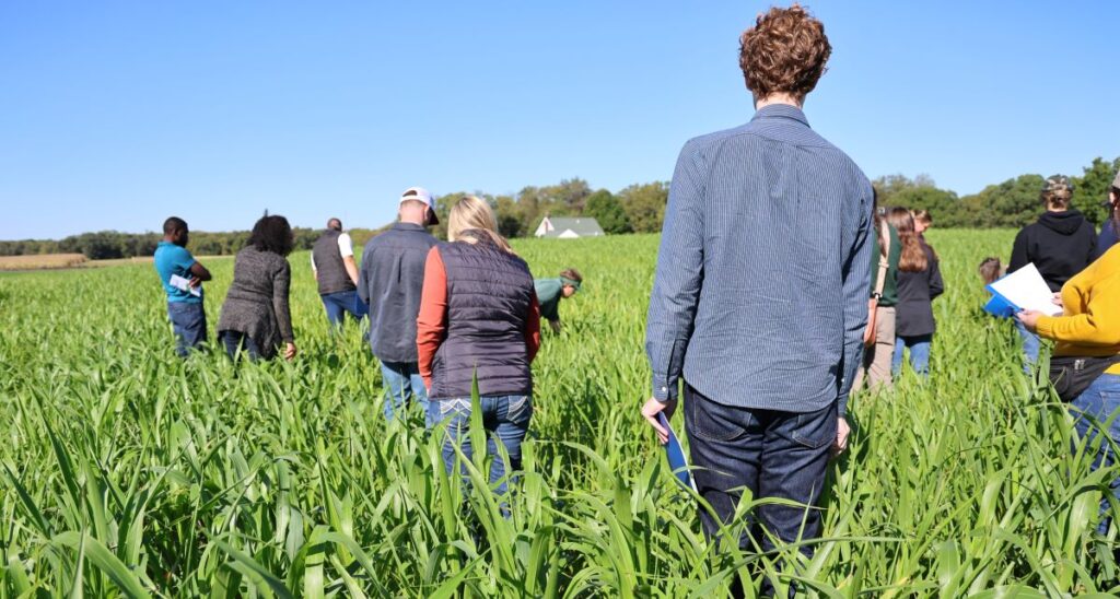 A group in a field on a sunny day looking at the crops.